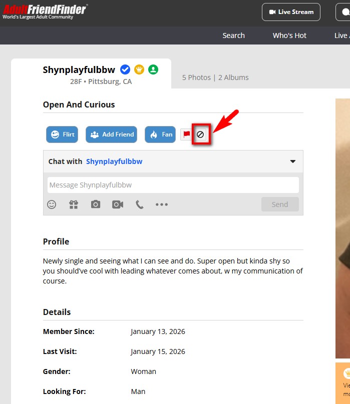 Member Profile Block on AdultFriendFinder