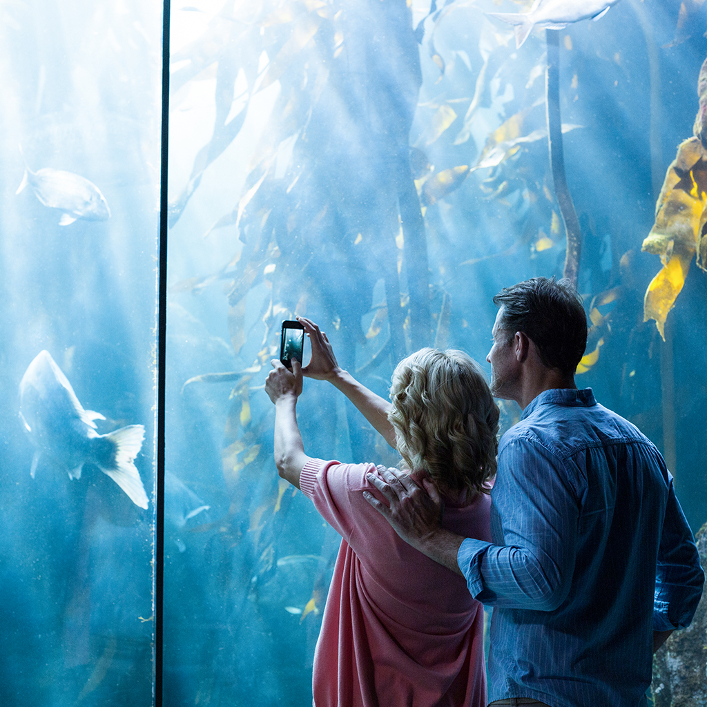 Couple taking photo of fish in the tank